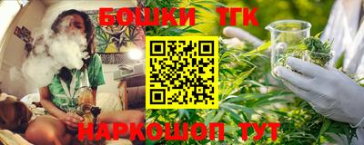 МДПВ Можга