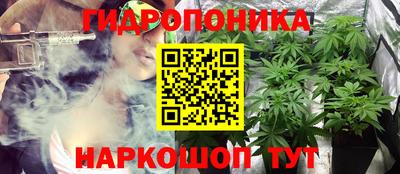 МДПВ Можга