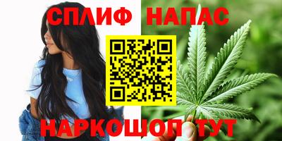 МДПВ Можга