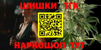 МДПВ Можга