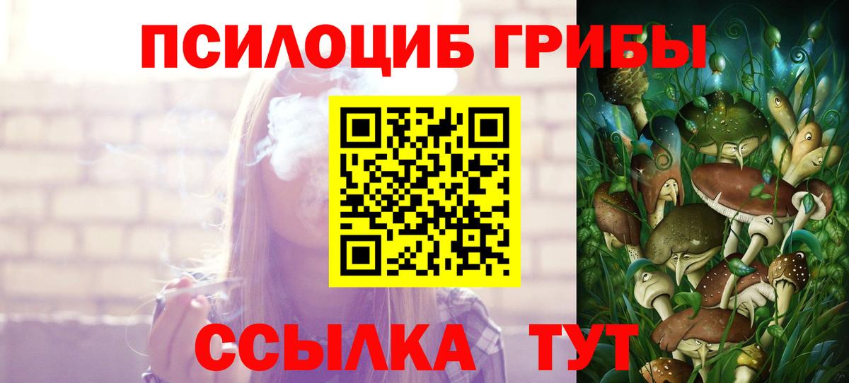 Псилоцибиновые грибы мухоморы Сосновый Бор